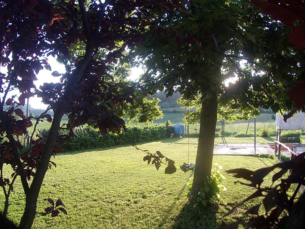 Gavi/Alice Open Space Bed & Breakfast Екстериор снимка