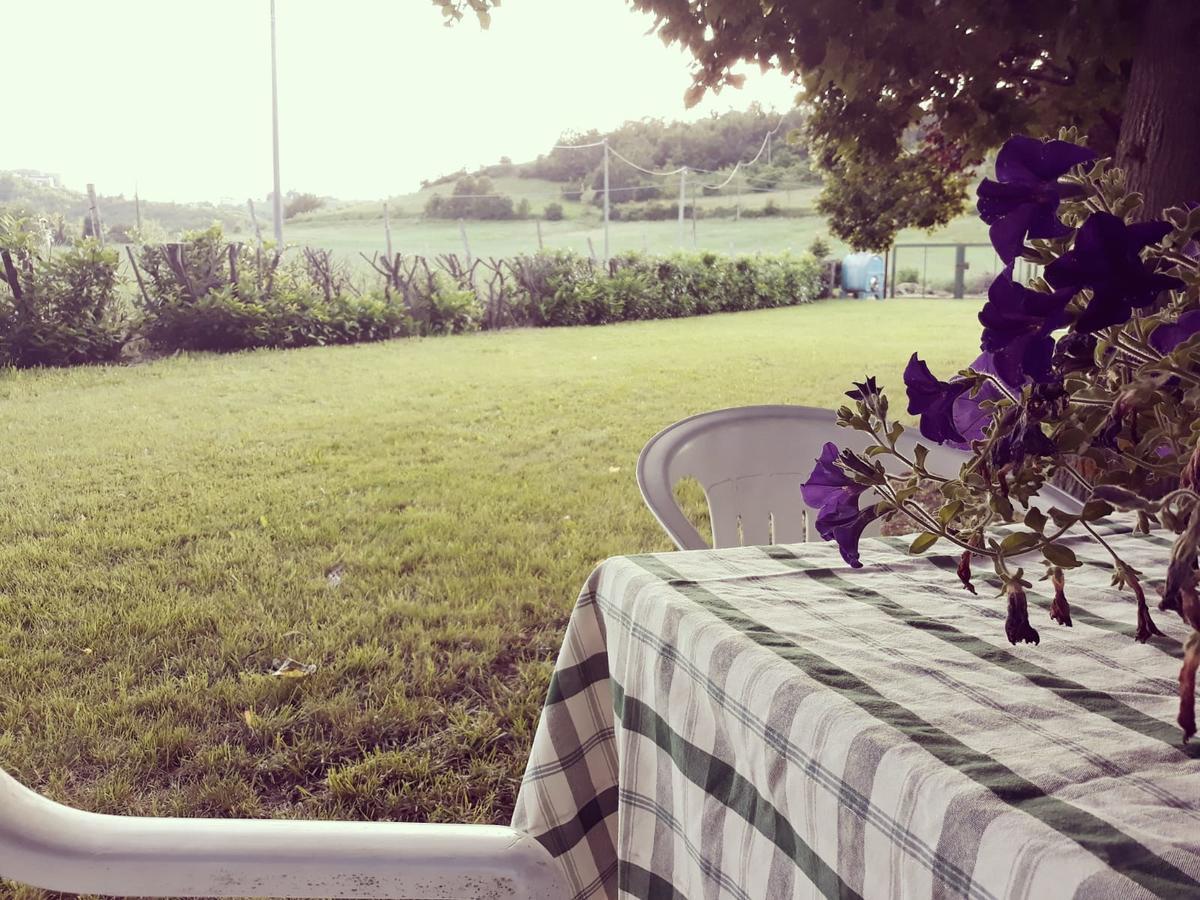 Gavi/Alice Open Space Bed & Breakfast Екстериор снимка