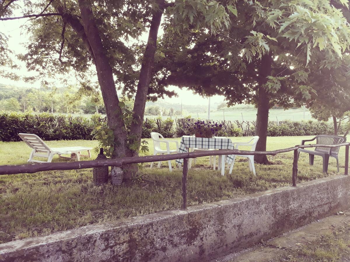 Gavi/Alice Open Space Bed & Breakfast Екстериор снимка